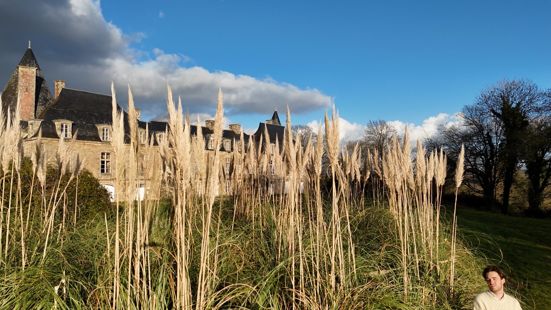 Le château derrière les herbes de la pampa