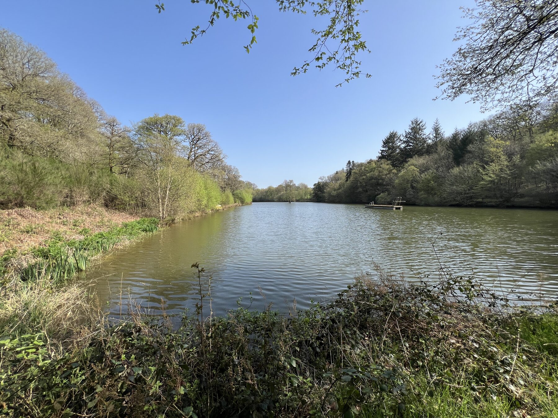 Canoës au bord de l'étang