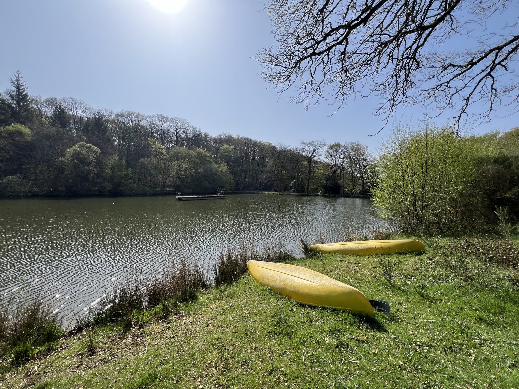 L'étang du domaine du Bois de la Roche